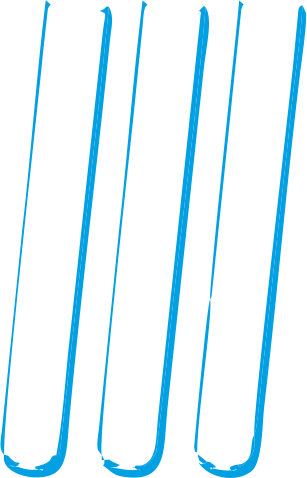 Disposable Glassware