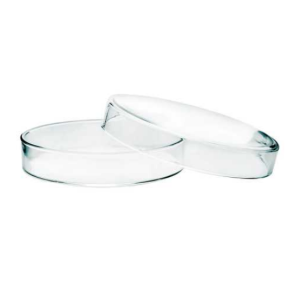 Petri-Dishes-small-1