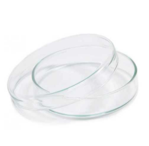 Petri-Dishes-small-3