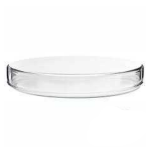 Petri-Dishes-small-4
